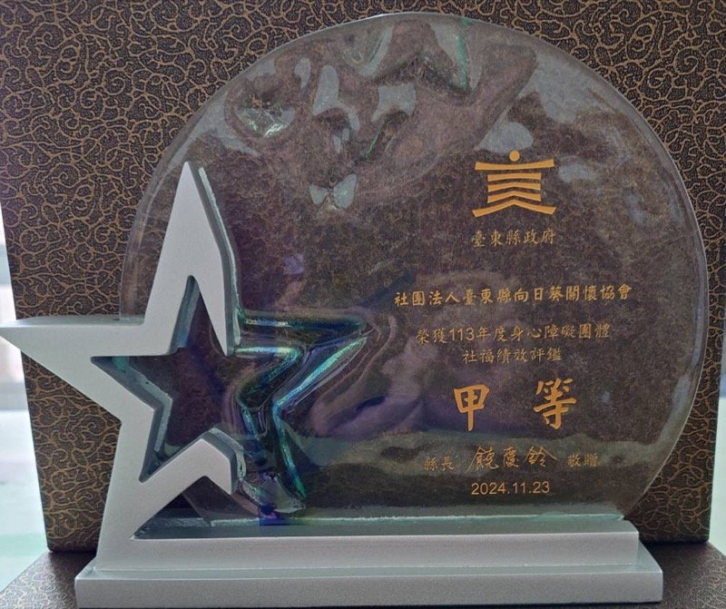 113年度身心障礙團體甲等.jpg